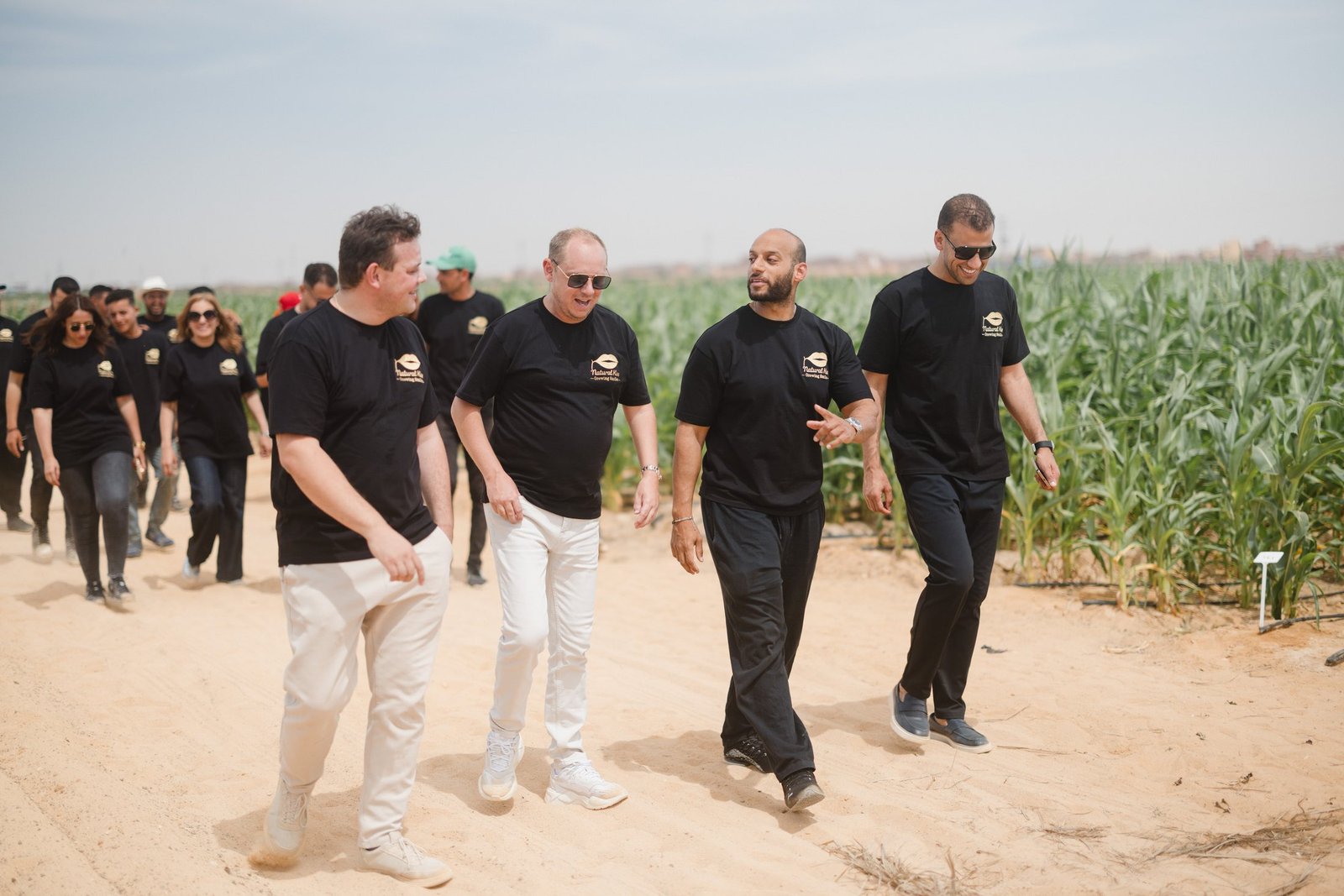 The Natural Kiss team walking through Egyptian fields