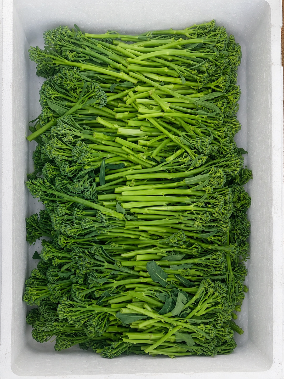 Bimi Tenderstem freshly packed in crate