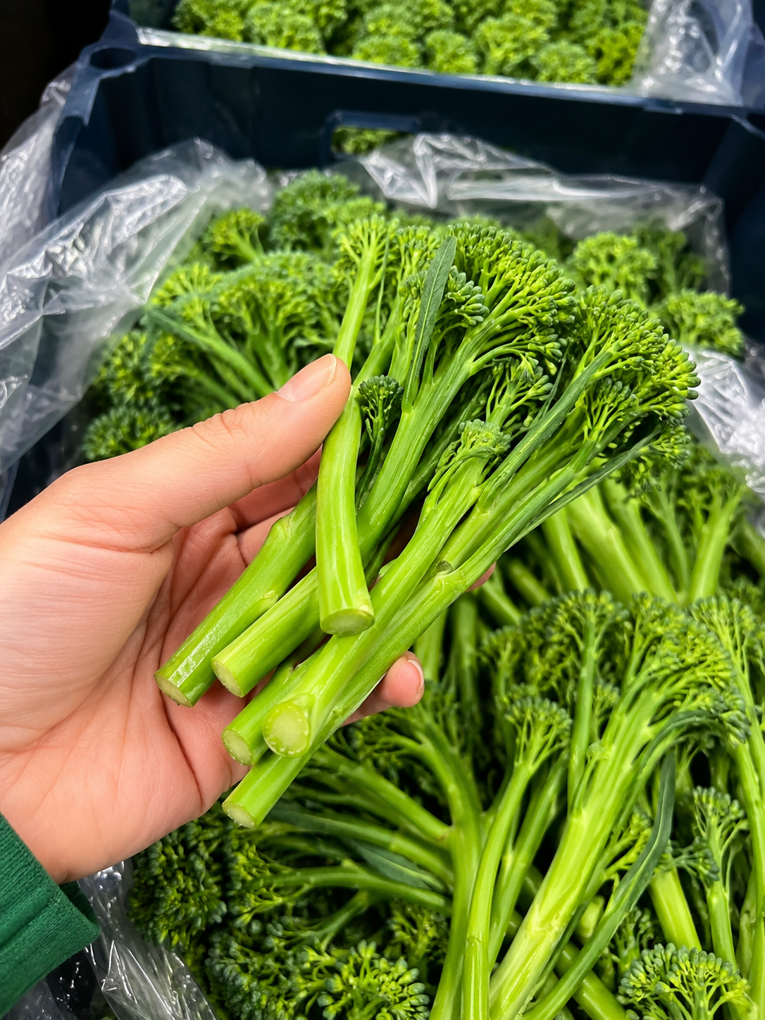 Grower holding Bimi Tenderstem bunch