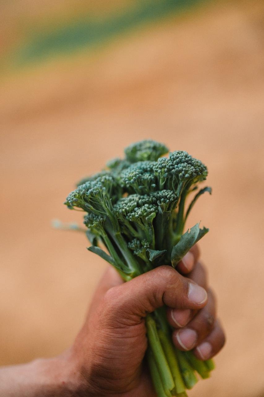 Bimi Tenderstem held in a farmer's hand
