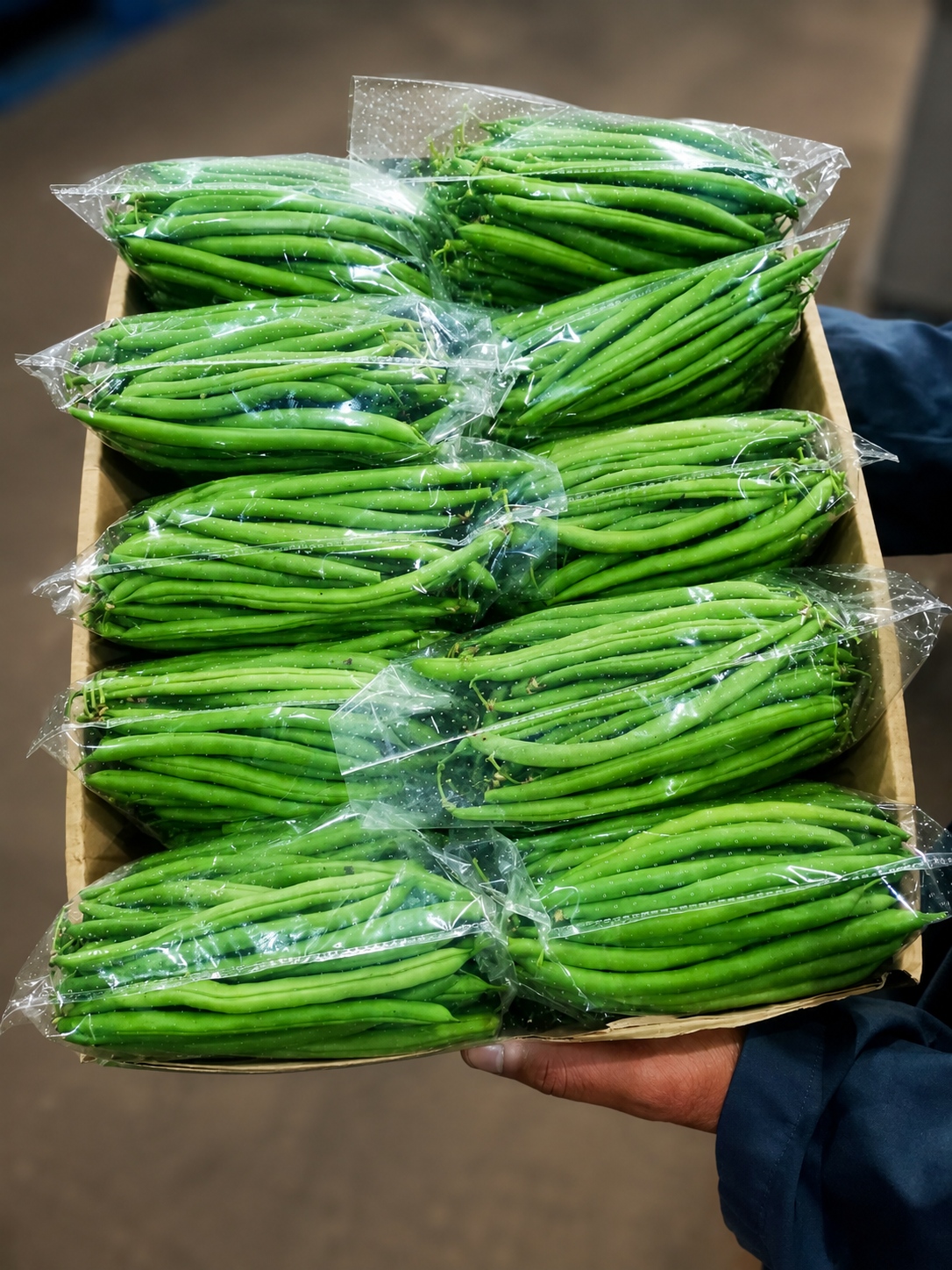 Grower holding a crate of freshly packed green beans