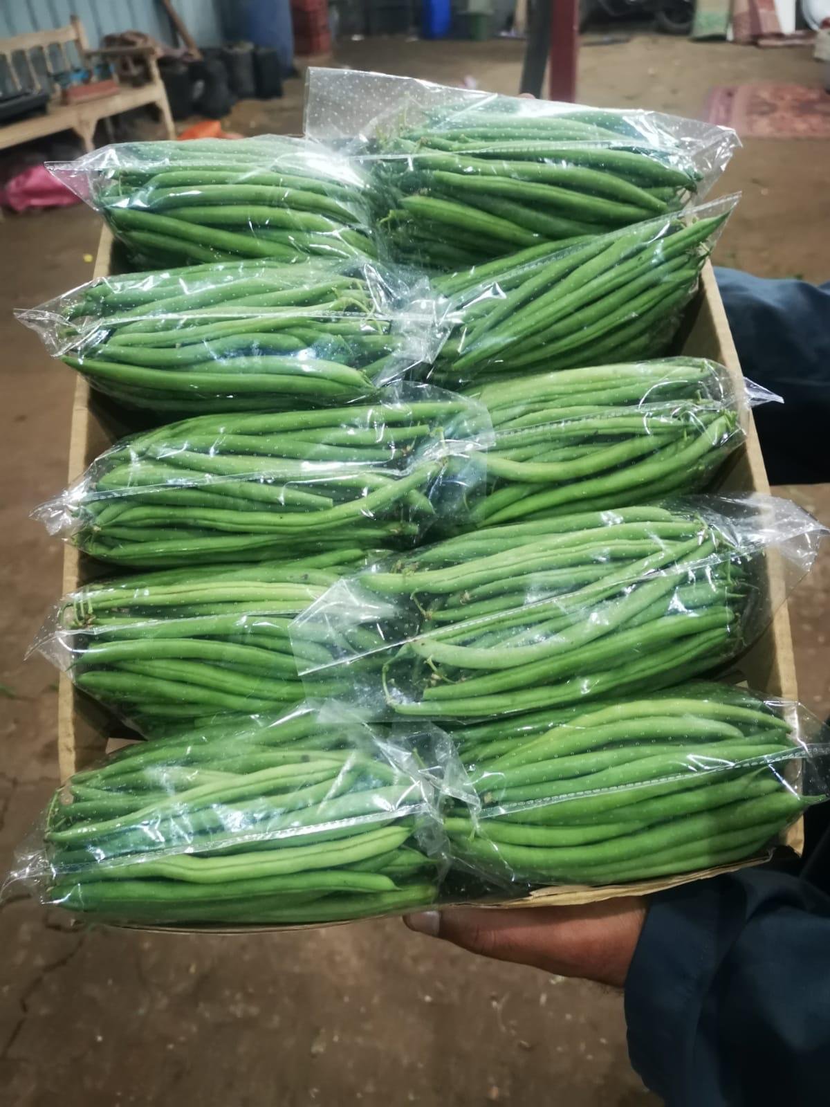 Green beans 250g bag