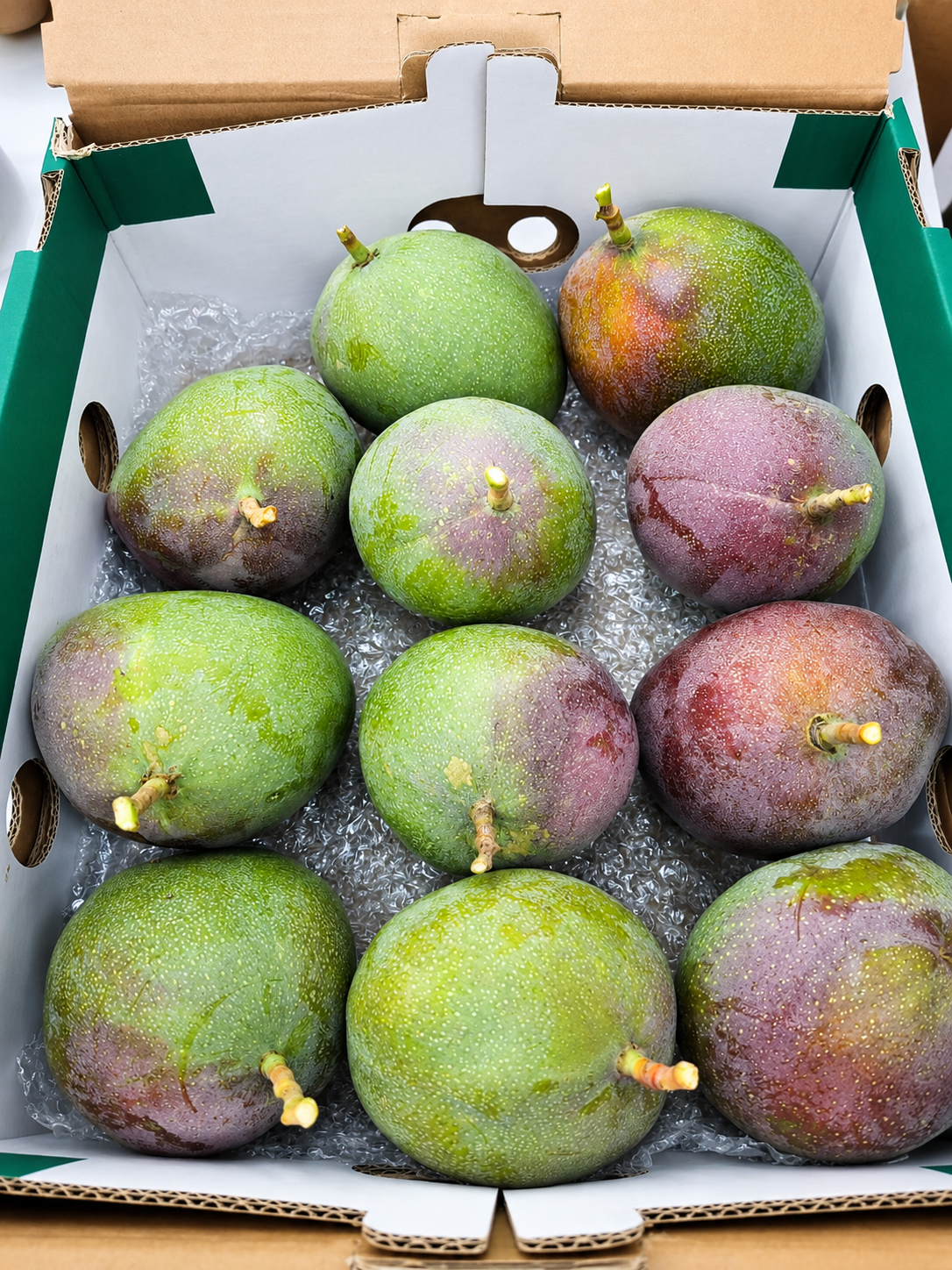 Mangoes packed in export box