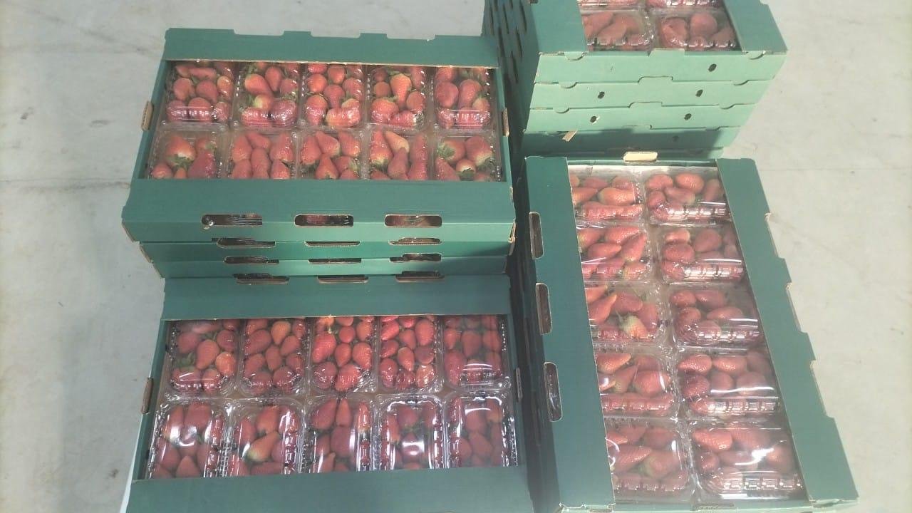 Strawberries NK brand