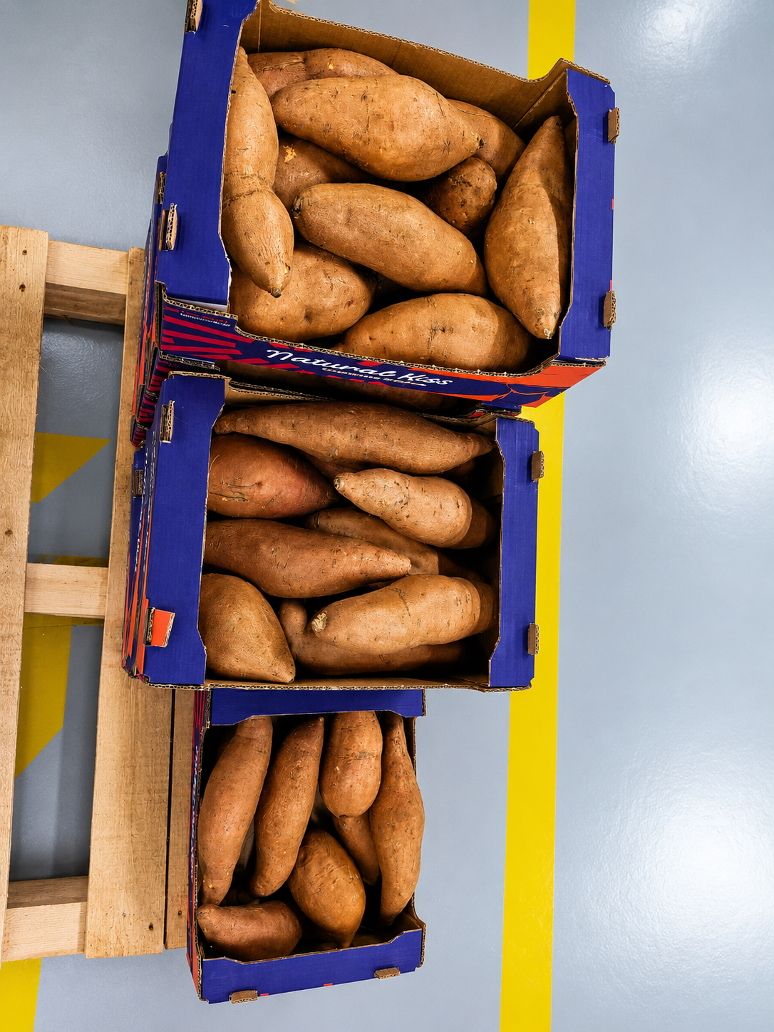 Sweet potato crate, close view
