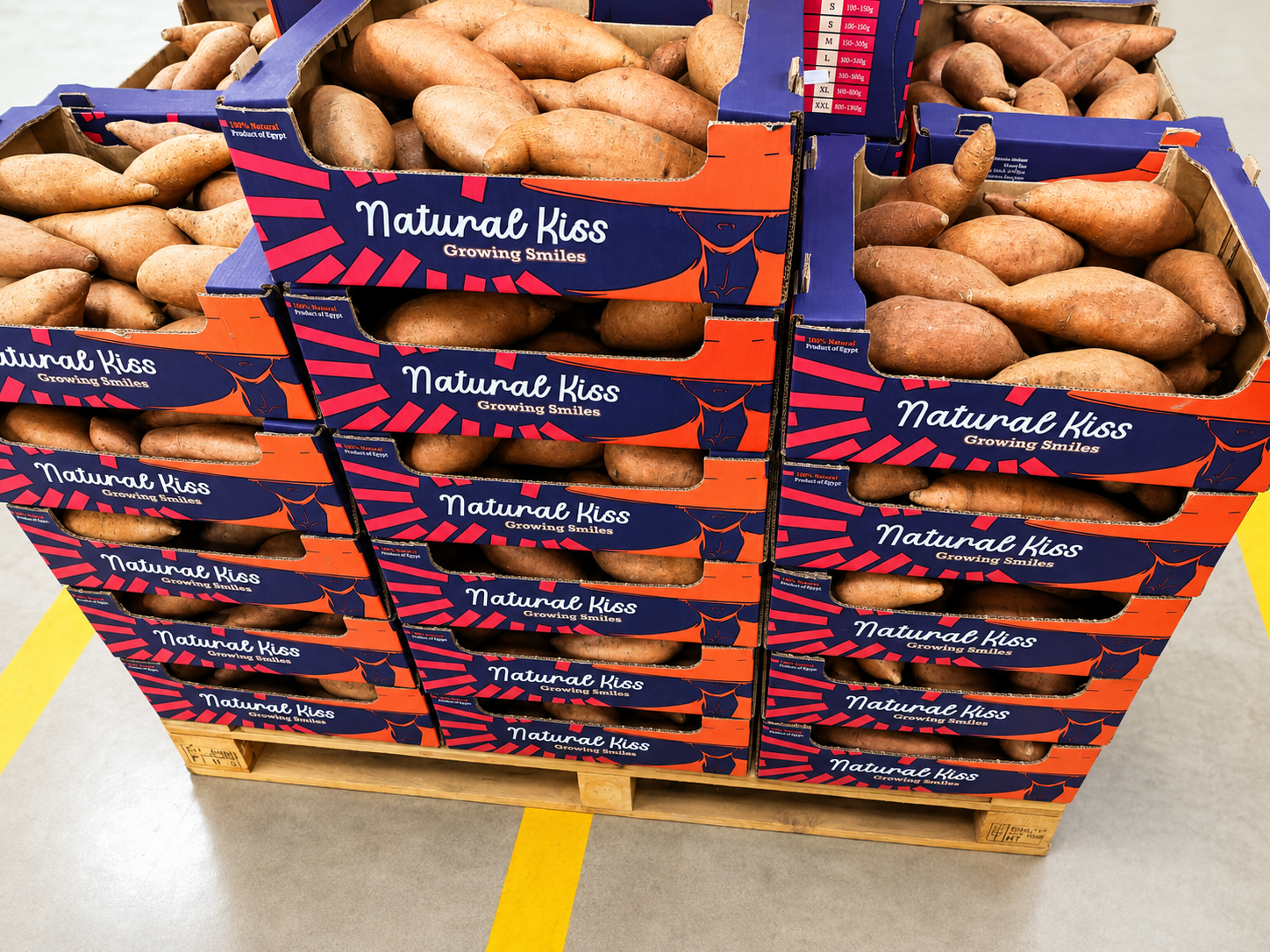 Sweet potato pallets ready for export
