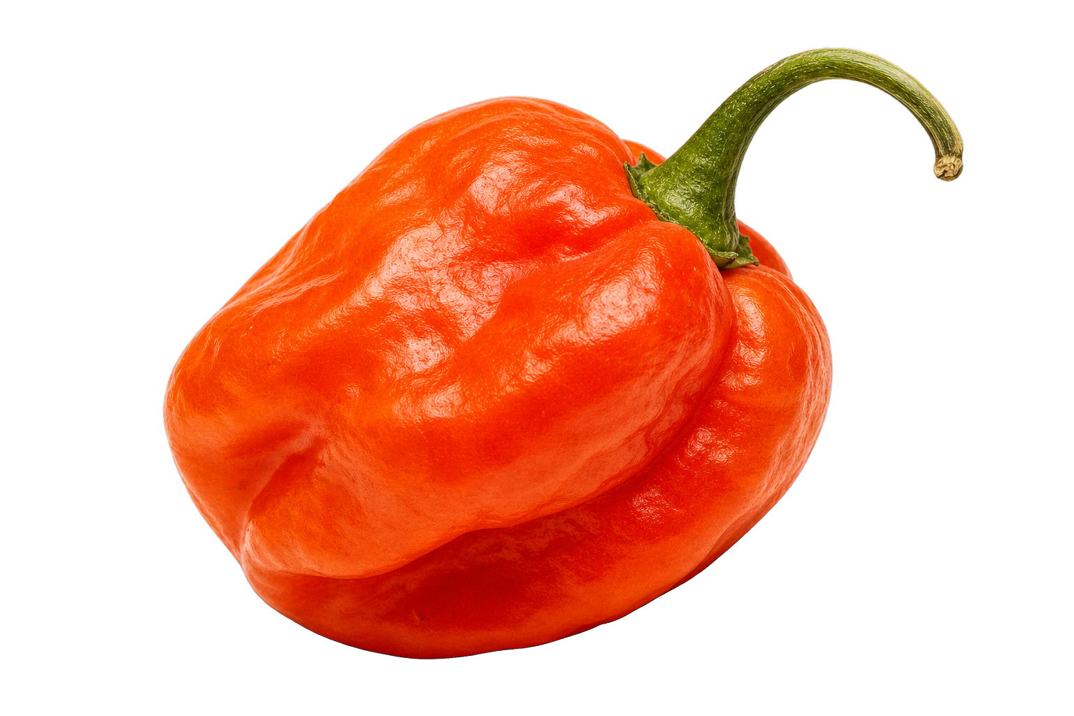 Habanero