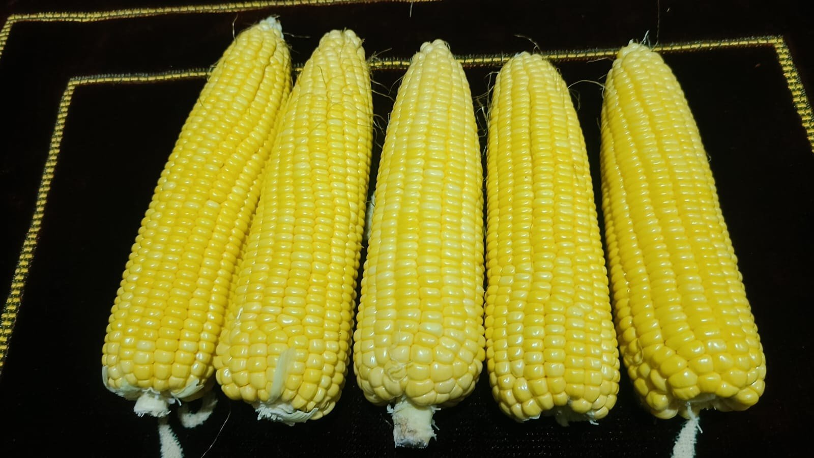 Sweet Corn
